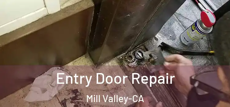 Entry Door Repair Mill Valley-CA